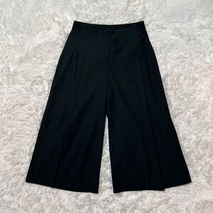ABS by Allen Schwartz Pants Size Small Wide Leg Crop Trousers Stretch